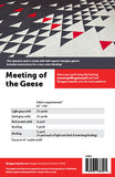 Meeting of the Geese Paper Pattern